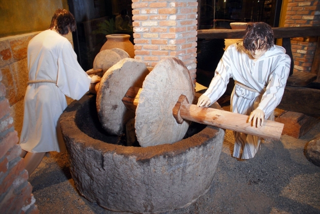 Emekli öğretmen çiftin zeytin merakı müzeye dönüştü